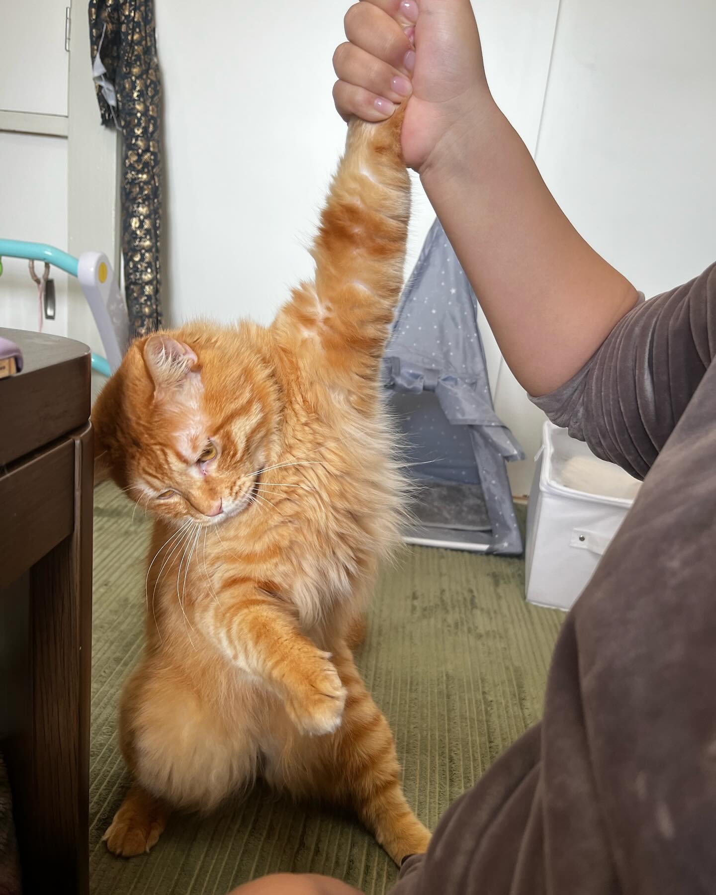 住よしです！本日は終日貸切営業となります！！また来週から宜しくお願い致します！！！ 小料理住よし