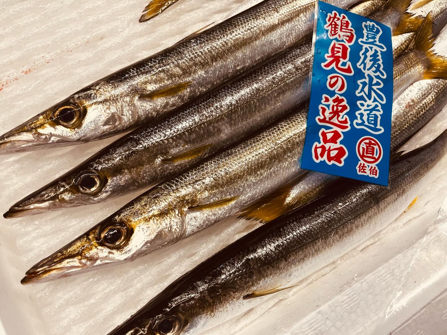 こんにちは！住よしです！！本日も入荷ってますよー！！豊後水道のカマスにヒラメ！！カマスは炙ってお刺身で食べられますよー！！！そして北海道の立派なホタテ！！！！オススメです！！！それとお知らせです！！明日の23日はお嫁ちゃん誕生日です！！！ぜひお祝いしてあげて下さーーい！！！本日も宜しくお願い致します！！！#勝田#ひたちなか市#居酒屋#日本酒 小料理住よし