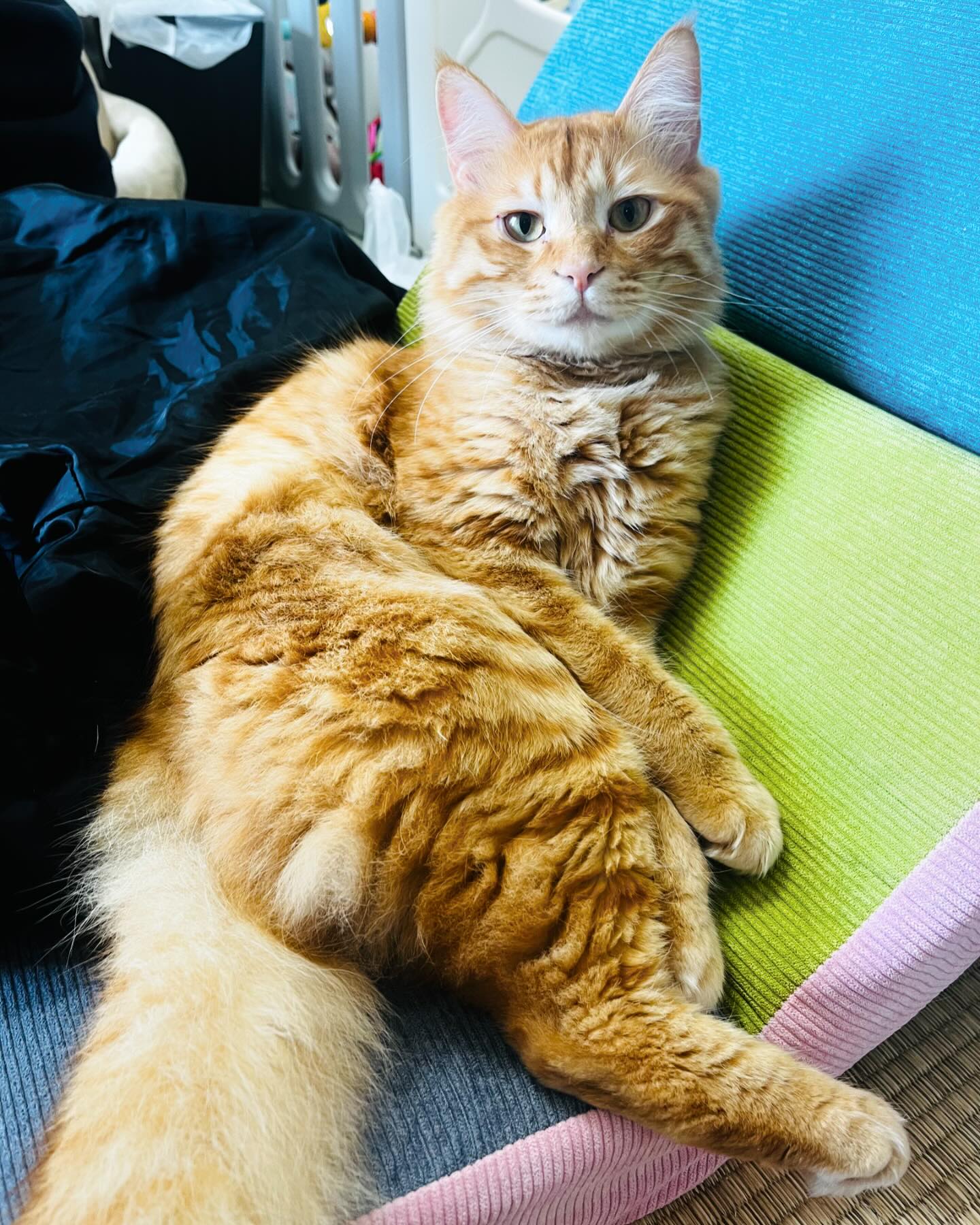 住よしです！すいません本日お休みさせて頂きます！！また明日から宜しくお願い致します！！！ 小料理住よし