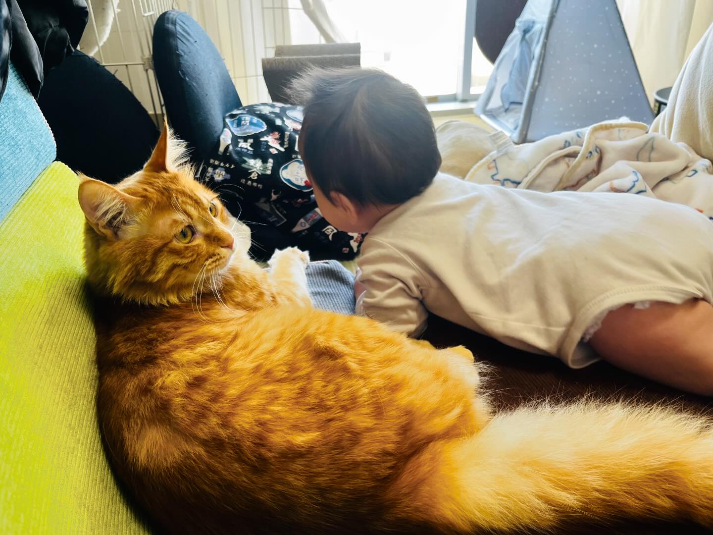 こんにちは、住よしです。本日ママさん体調不良のタメ、お休みとなります。申し訳ありません…。そして今週の間少しだけですが、ママさんの体調が戻るまで営業形態を縮小して営業いたします。僕が刺身切るよ🥺お手柔らかにお願いします。また、明日から宜しくお願いいたします！！ 小料理住よし