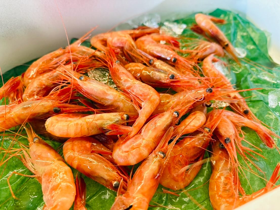 こんにちは！住よしです！！本日もママさんお休みの営業となります！！オススメは！北海道の甘エビに！1匹丸々のアラ！！釣りもののマアジです！！！本日も宜しくお願いします！！！#勝田#ひたちなか市#居酒屋#お刺身#日本酒 小料理住よし