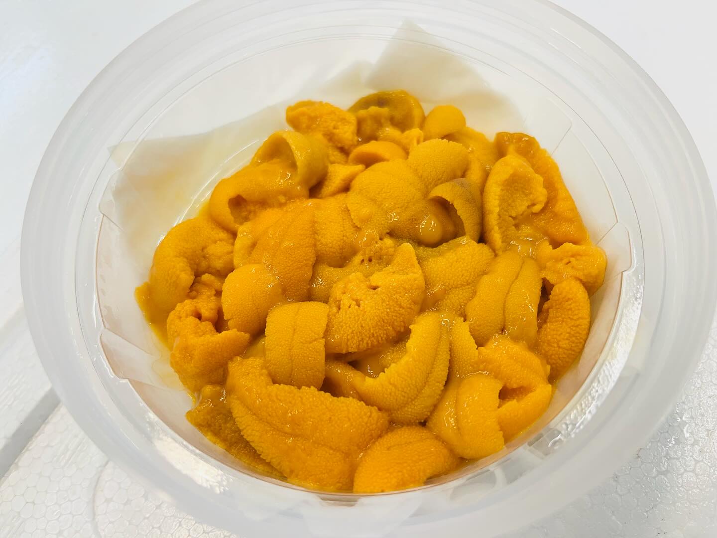 こんにちは！住よしです！！本日も入荷ってます！！！大人気の塩水ウニに！長崎のコウイカ！！島根のアラにマアジ！！！そして豊後水道の神経〆マダイ！！！！！オススメです！！！本日も宜しくお願いいたします！！！#勝田#ひたちなか市#居酒屋#お刺身#日本酒 小料理住よし