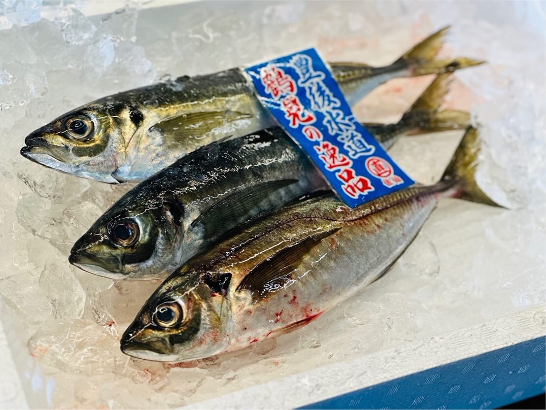 こんにちは！住よしです！！！本日も入荷ってます！！豊後水道のアジに！！脂たっぷりの丸々なマス！！！！本日も宜しくお願いいたします！！！遅くなりましたが、GWは最後の月曜日(６日)をお休み頂きます！！日曜日(５日)はカンパイフェスに出店しますので！ぜひタマリバパーキングまでご来店下さいませ！！！宜しくお願いします！！！#勝田#ひたちなか市#居酒屋#お刺身#日本酒 小料理住よし