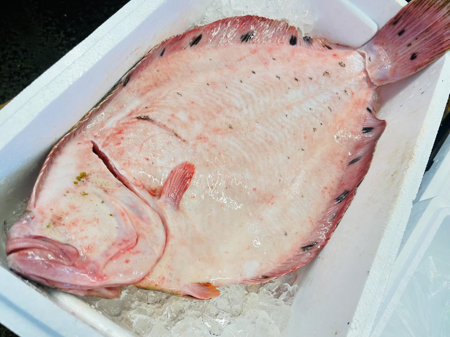 こんにちは！住よしです！！本日も入荷ってますよー！！！なんと！西のホシガレイ北のマツカワガレイ、どっちも入ってますw食べてください！！！それと活〆のアイナメに！！！五島列島のイシダイ！！！！オススメですよ！！本日も宜しくお願いします！！！#勝田#ひたちなか市#居酒屋#お刺身#日本酒 小料理住よし