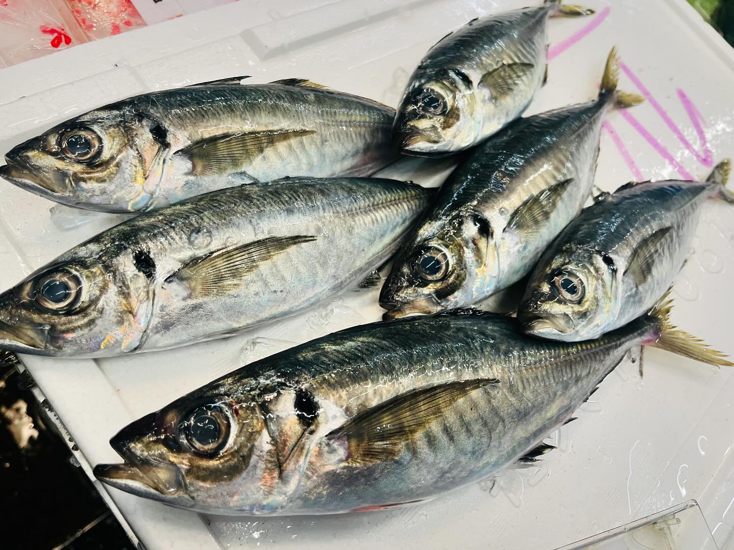 こんにちは！住よしです！！本日も入荷ってますよー！！！島根のアジに！！北海道のサクラマス！！！そして長崎の天然カンパチ！！！！本日も宜しくお願いします#勝田#ひたちなか市#居酒屋#お刺身#日本酒 小料理住よし