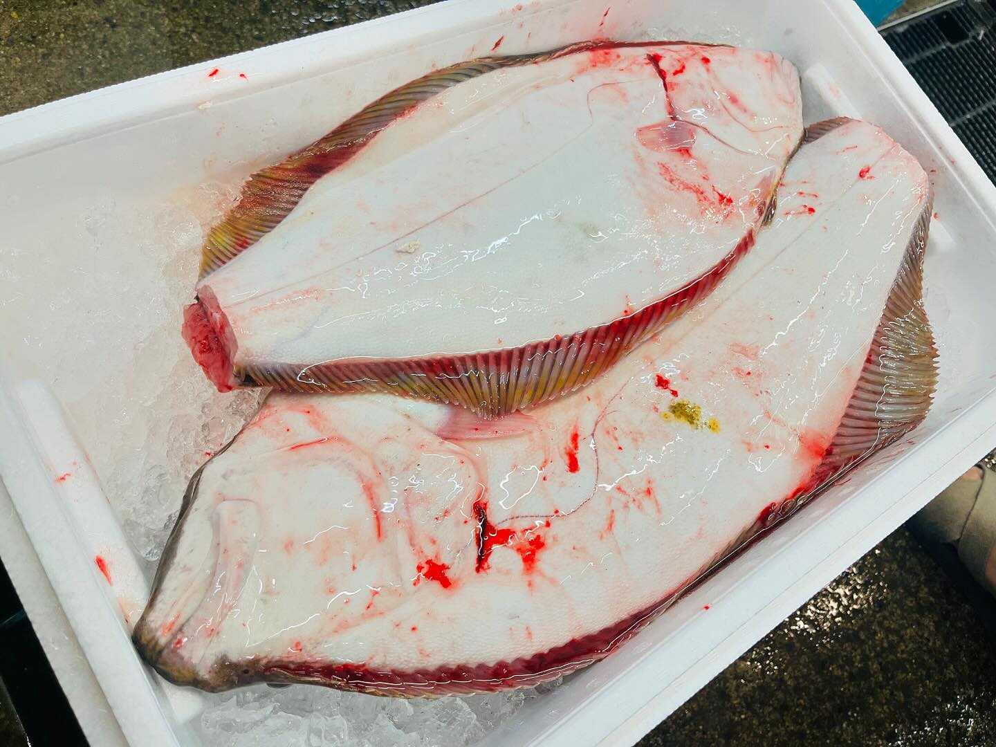 こんにちは！住よしです！！本日も入荷ってます！！！常磐モノのヒラメに！島根の脂の乗ったマゾイ！！！本日も宜しくお願いします#勝田#ひたちなか市#居酒屋#お刺身#日本酒 小料理住よし