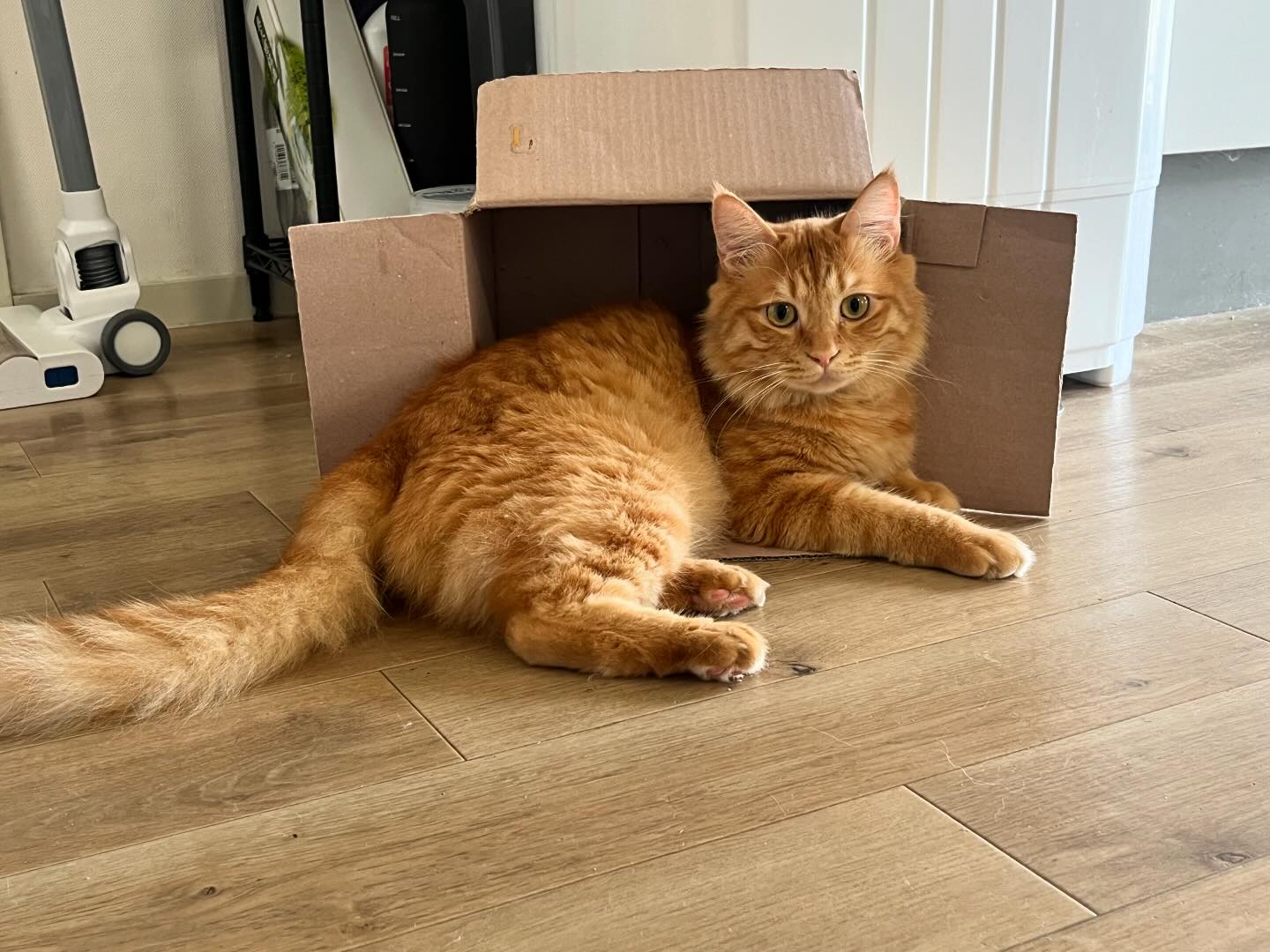 勝田の小さな居酒屋小料理住よし　Instagramを更新しました