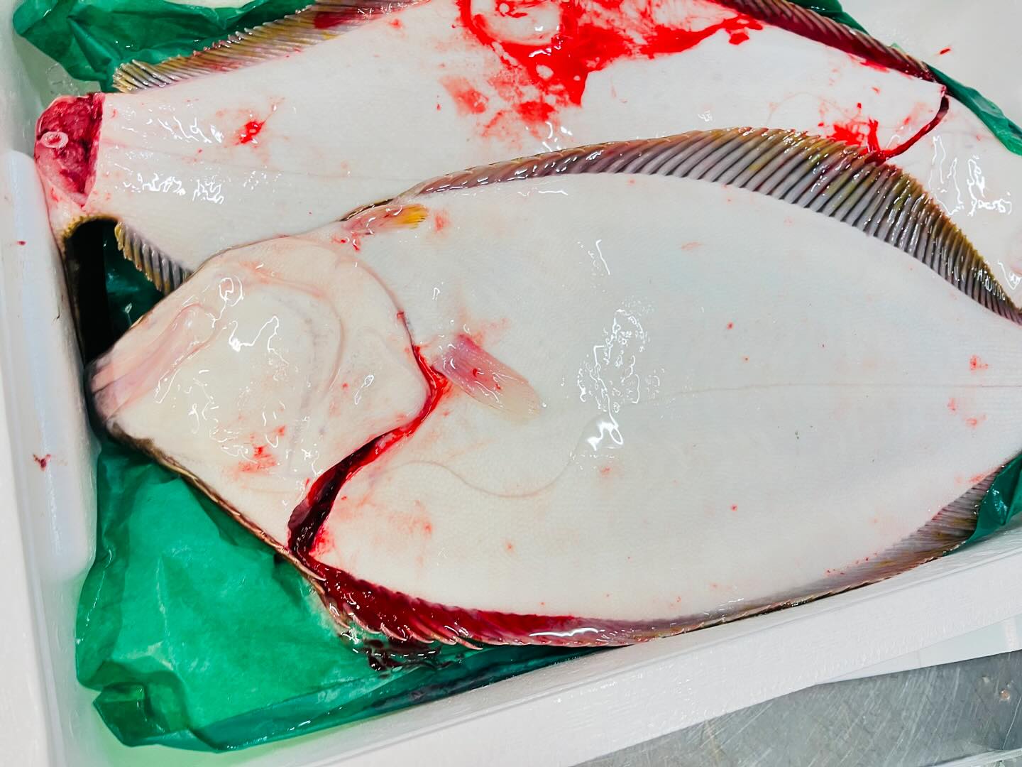 こんにちは！住よしです！！良いもの入荷ってます！！！上質な岩手ヒラメと！愛媛の甘ーいマダイ！！！そして美味しい水ダコちゃんに！旬もののサンマ！！！！本日もよろしくお願いします