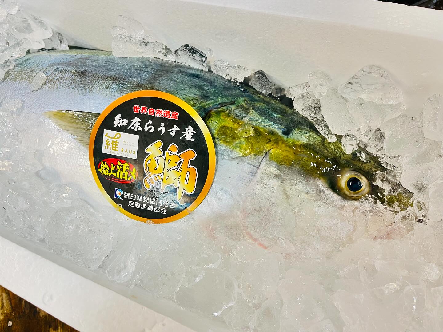 こんにちは!住よしです!!今週もよろしくお願いします!オススメです!!寒ブリ…は早い気がしますが!脂の乗ったブリに!!!千葉のキンメダイ!!!です!!!!本日もよろしくお願いします!!!!#勝田#ひたちなか市#居酒屋#お刺身#日本酒