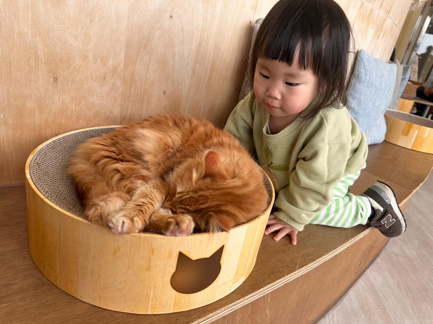 住よしです！体調不良によりお休みをいただきます！遅いご連絡ですいません