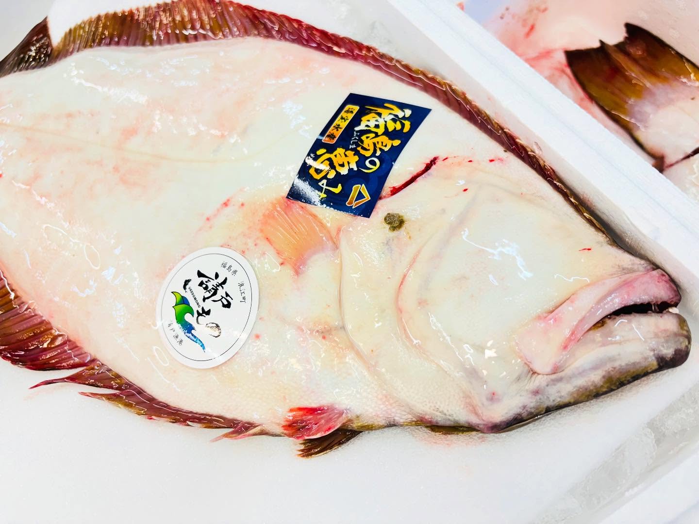 こんにちは！住よしです！！良いモノ入荷ってますよー！！！福島のヒラメに！！千葉のアオリイカ！！！オススメです！！！本日もよろしくお願いします#勝田#ひたちなか市#居酒屋#お刺身#日本酒