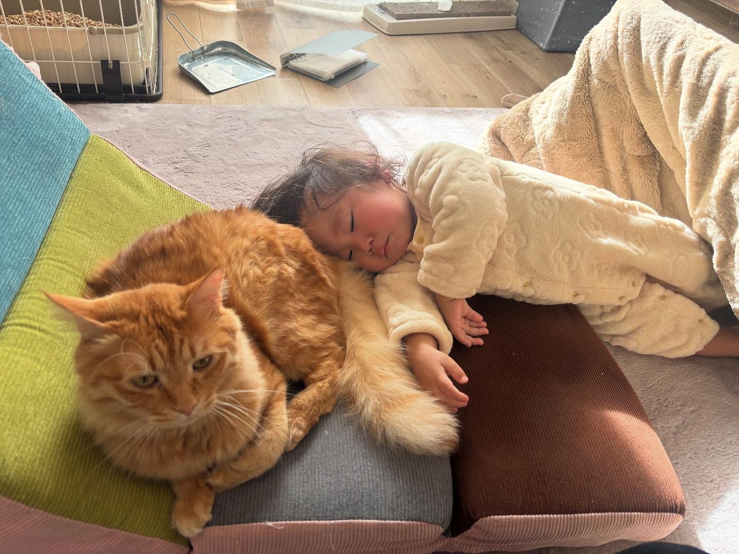 住よしです！すいません！！本日体調不良によりお休みします。ご連絡遅くなりすいません