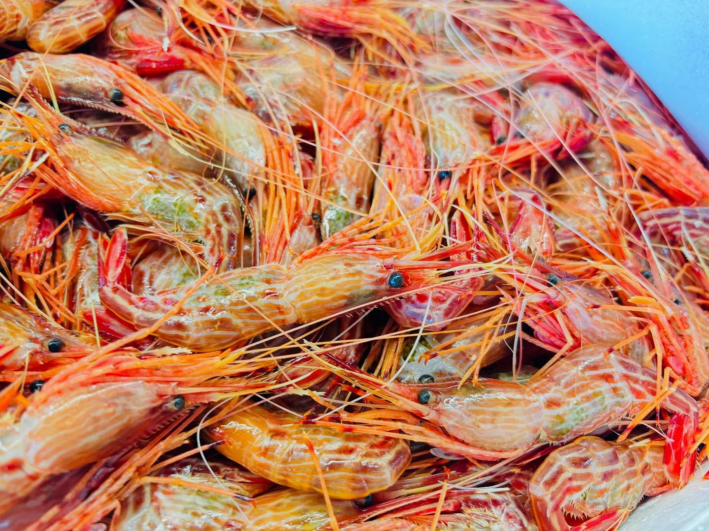 こんにちは!住よしです!!良いモノ入荷ってます!!!北海道のシマエビに!!千葉のキンメダイ!!!オススメです!!本日もよろしくお願いします#勝田#ひたちなか市#居酒屋#お刺身#日本酒