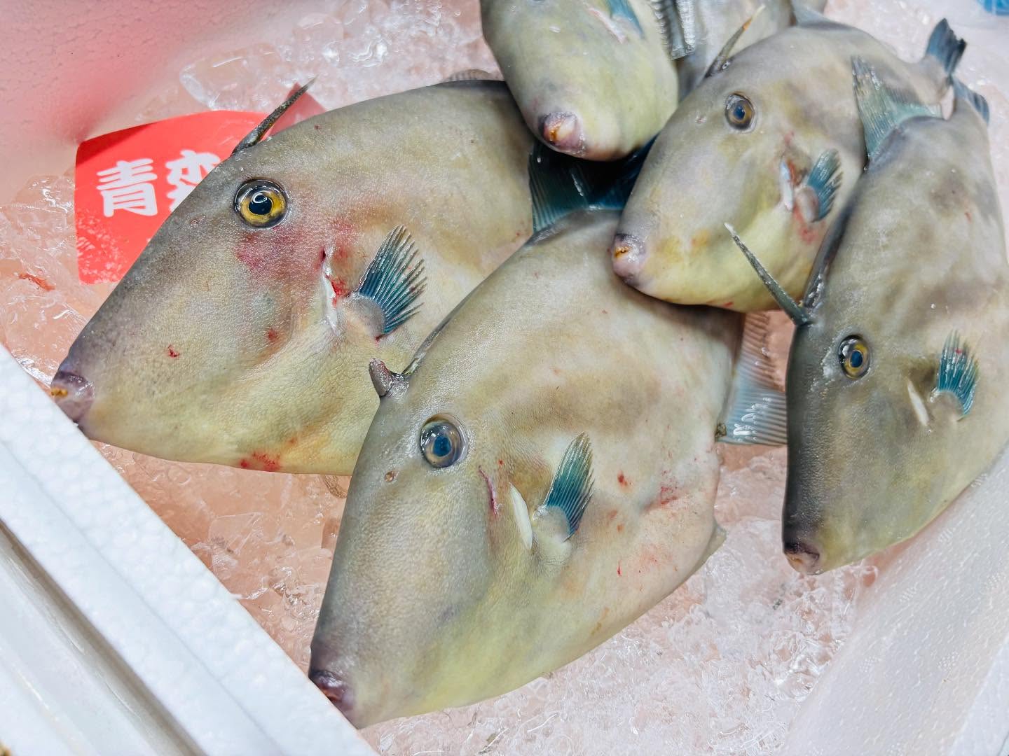 こんにちは！住よしです！！！オススメあり〼！青森のウマズラハギに！！北海道のシマエビ！！！美味しいですよー！！！今週もよろしくお願いします#勝田#ひたちなか市#居酒屋#お刺身 #日本酒