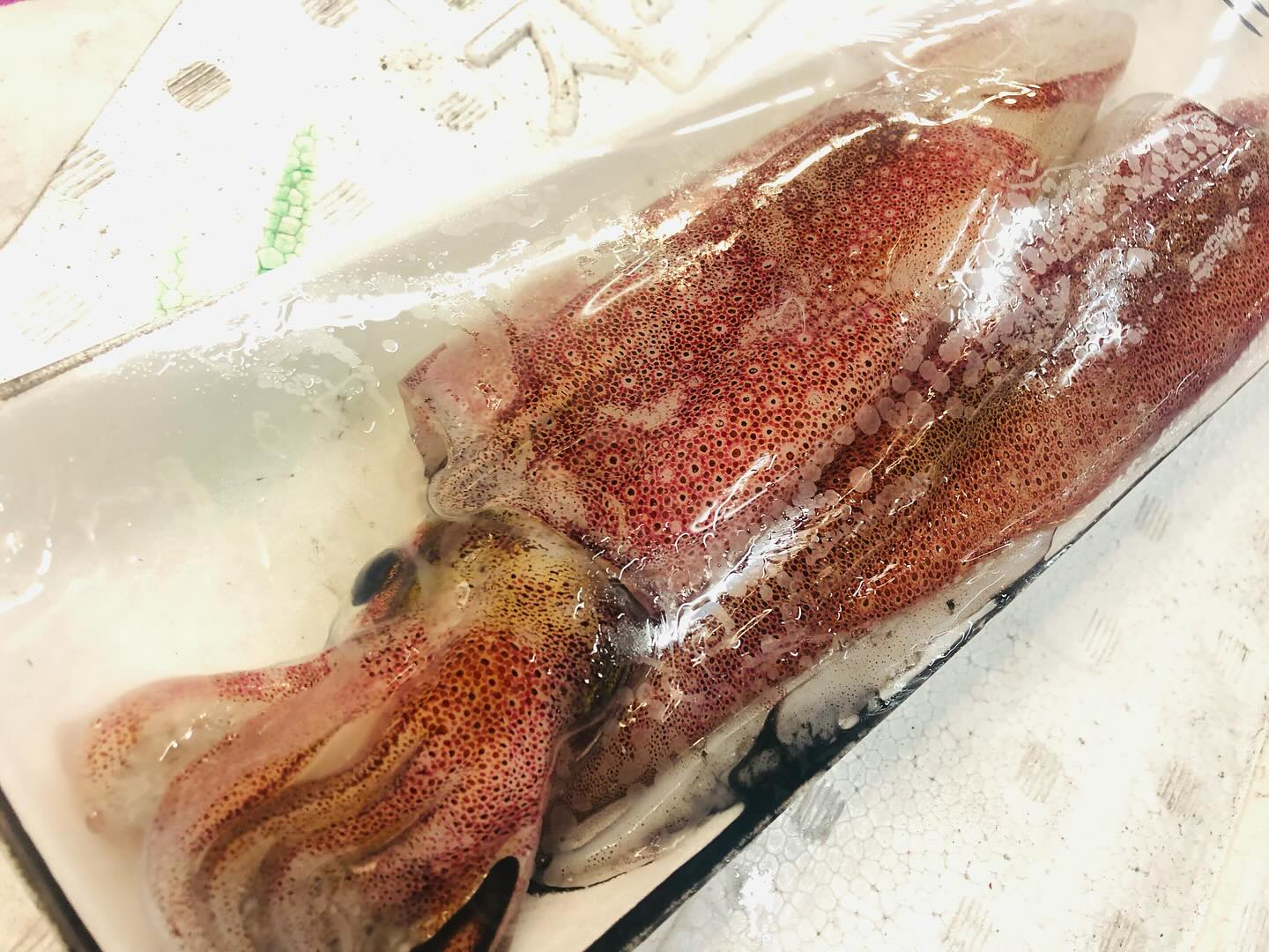 こんにちは！住よしです！！良いもの入荷ってます！！福岡のケンサキイカに！！入梅イワシ！！！オススメです！！ちなみに…本日はテーブル席が埋まっていますので、ご予約の際はお電話お願いしますー！明日は１テーブル空いております！本日もよろしくお願いします！！！#勝田#ひたちなか市#居酒屋#お刺身#日本酒