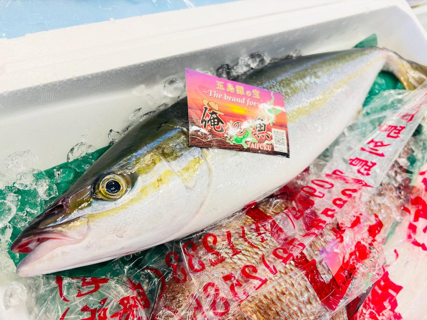 こんにちは！住よしです！！本日はワンオペため、17時半からオープンとなります！お気をつけください！！オススメです！！美味しいツムブリに！ブランドのムジョカサバ！！ぜひご賞味ください！！本日もよろしくお願いします#勝田#ひたちなか市#居酒屋#お刺身#日本酒