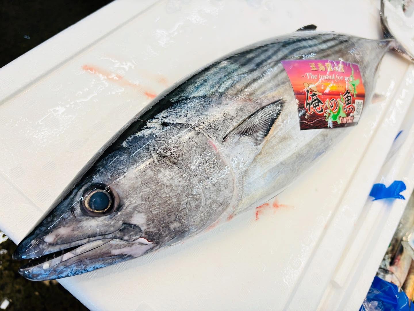 こんにちは！住よしです！！オススメです！！五島列島のハガツオ！！似てますが普通のカツオではありません！！皮を炙ってお刺身でご提供します！！本日もよろしくお願いします現在は…営業時間17時から22時まで21時半ラストオーダーです！#勝田#ひたちなか市#居酒屋#お刺身#日本酒