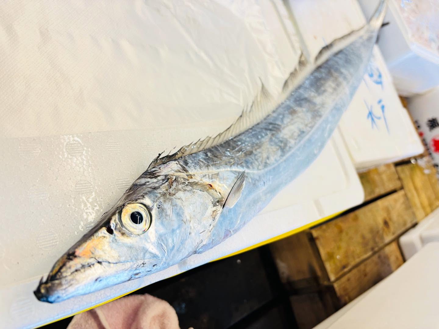 こんにちは！住よしです！！オススメです！！福島の太刀魚！！！脂乗って〼！！！！本日もよろしくお願いします#勝田#ひたちなか市#居酒屋#お刺身#日本酒