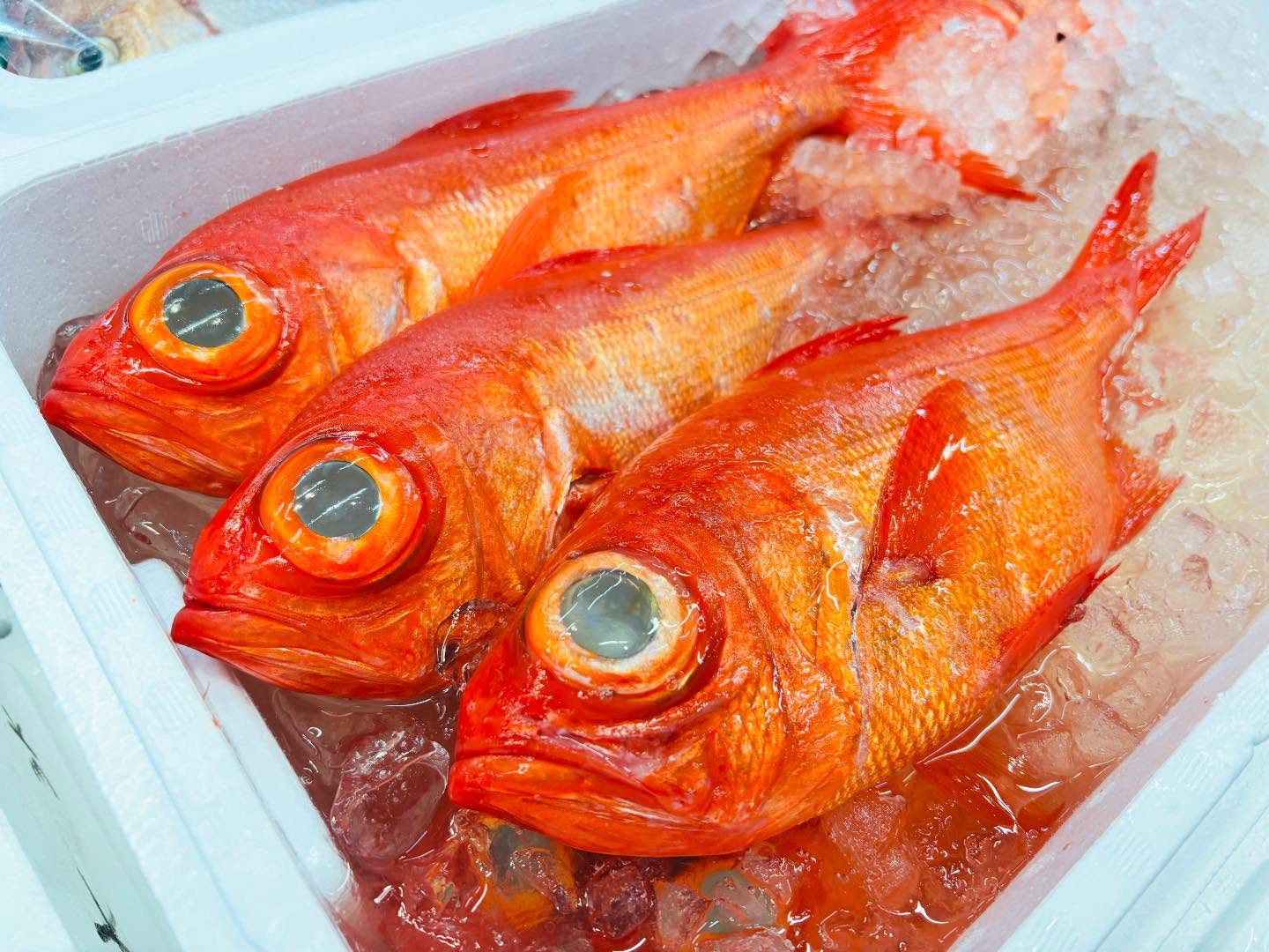 こんにちは！住よしです！！本日所用により18時からの営業になります！良いもの入荷ってます！！千葉県のキンメダイに！！長崎クロムツ！！！オススメです！！！本日もよろしくお願いします#勝田#ひたちなか市#居酒屋#お刺身#日本酒