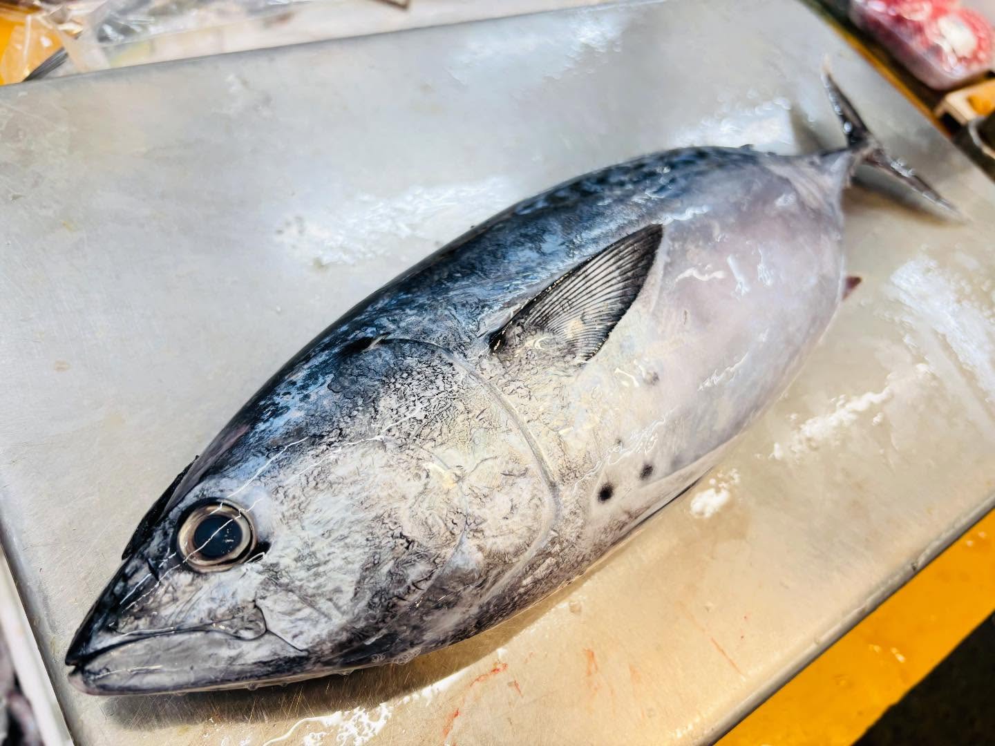 こんにちは！住よしです！！お店オープンしましたー！！！長崎のスマガツオにツムブリ！！オススメです！！！本日もよろしくお願いします#勝田#ひたちなか市#居酒屋#お刺身#日本酒