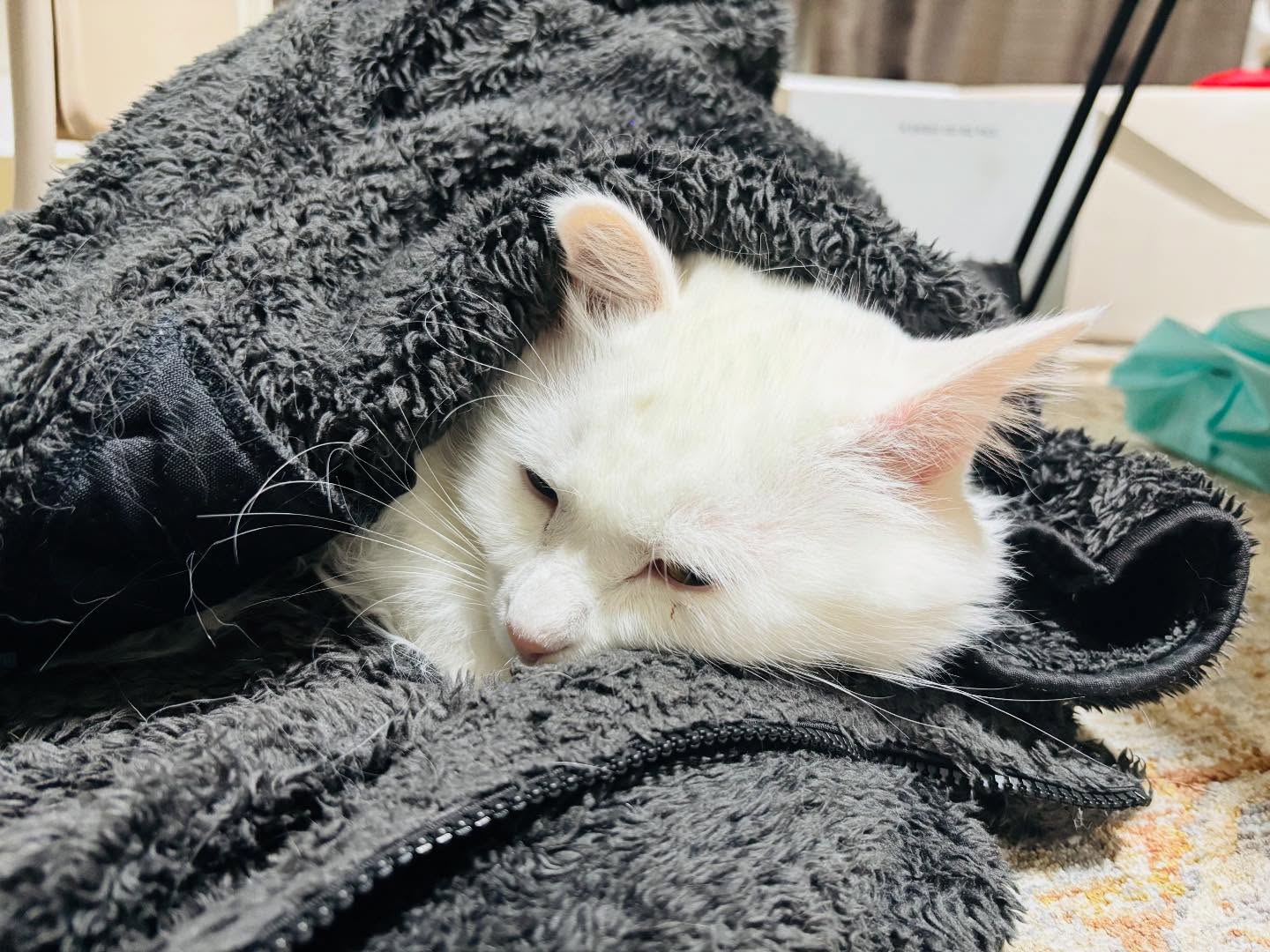 こんにちは！住よしです！！本日は終日貸切営業となります！！すいません！来週の月曜日からまたお待ちしてます！！