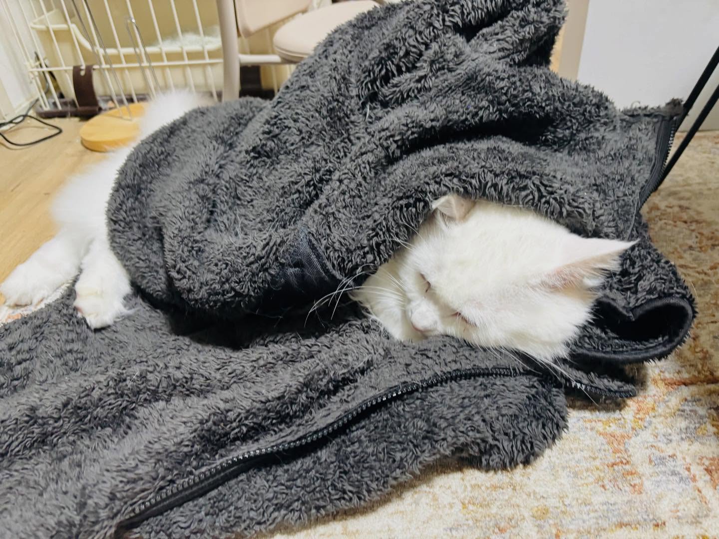 住よしです！すいません、本日体調不良によりお休み頂きます…申し訳ありません