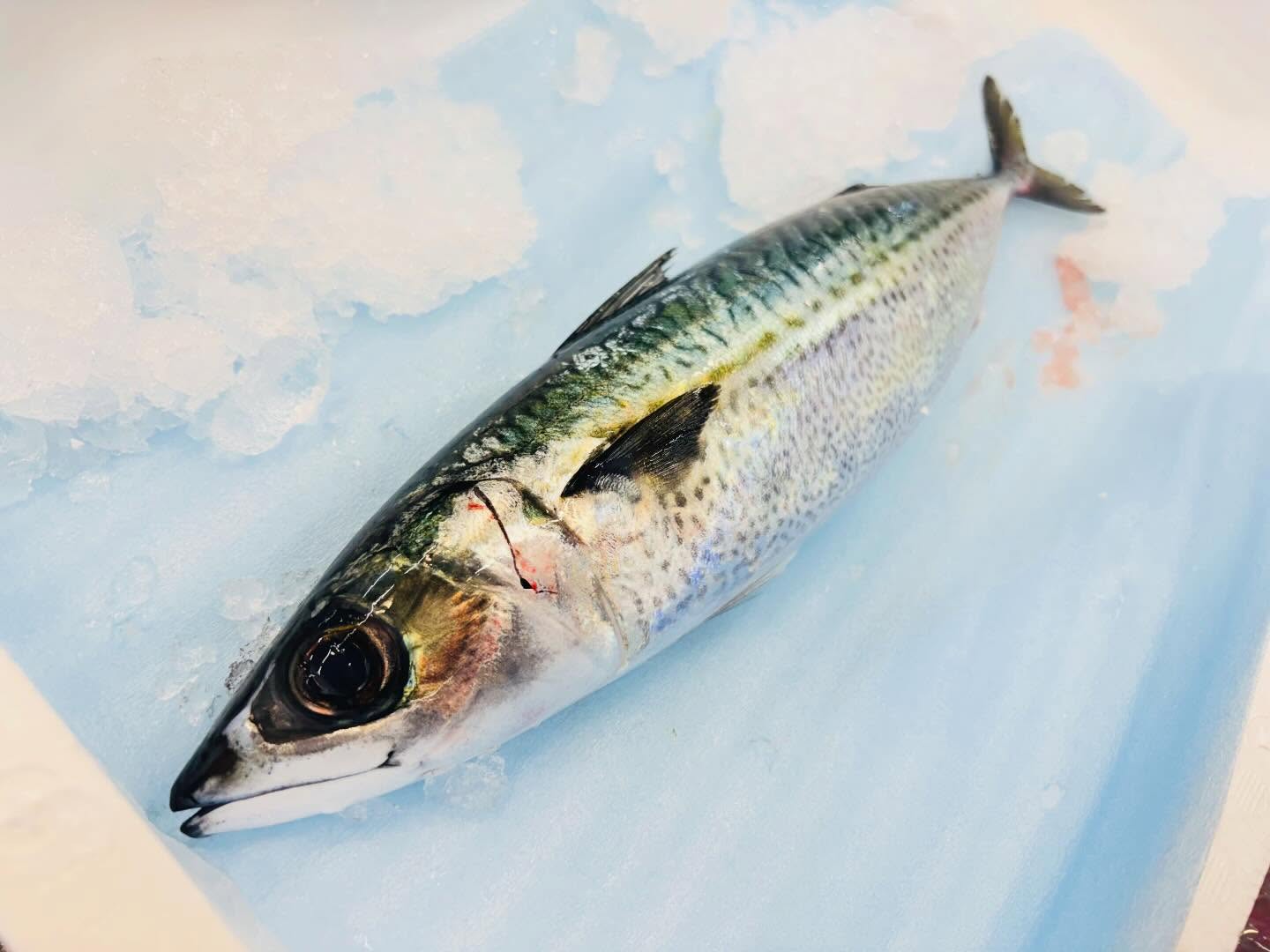 こんにちは！住よしです！！！本日18時からの営業になります！すいませんオススメは！大分のサバ！！！丸々してて良いですよー！！！本日もよろしくお願いします‍♀️#勝田#ひたちなか市#居酒屋#お刺身 #日本酒